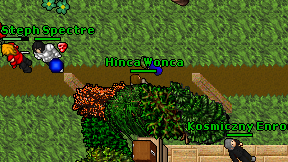 Hinca Wonca on screen