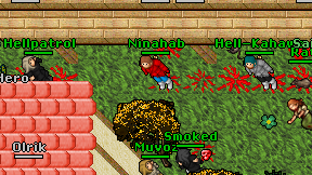 Ninahab on screen
