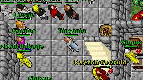 Tinyania on screen