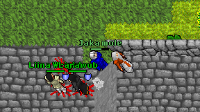 Jaka mole on screen