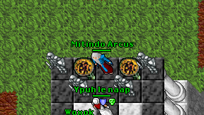 Mitindo Arcus on screen