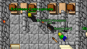 Druid Crisagon on screen