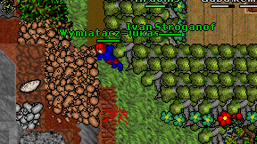 Wymiatacz-lukas on screen