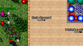 Gui ripcurl on screen