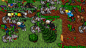 Mapisame on screen