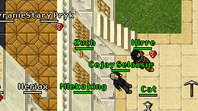 Zuch on screen