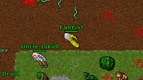 Everist on screen