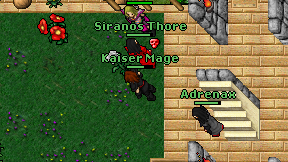 Kaiser Mage on screen