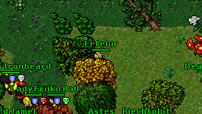 Erfelur on screen