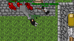 Tadine on screen