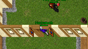 Nozumah on screen