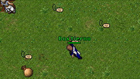 Bos tierno on screen