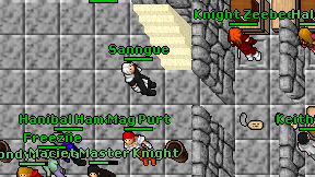 Sanngue on screen