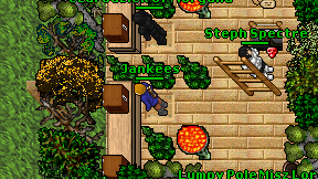 Jankees on screen
