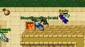 Simplesmente Druid on screen