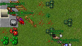 Epilrusilweeft on screen