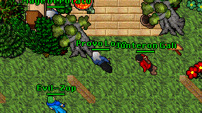 Provo Lone on screen