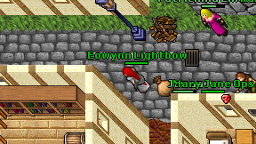 Eowynn Lightbow on screen