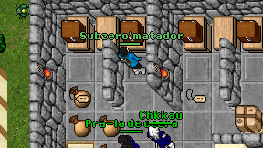 Subzero'matador on screen