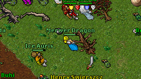 Merwer Dragon on screen
