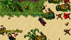 Royal Chronic on screen