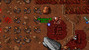 Nupert on screen