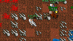 Lejta on screen