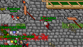 Kuzadus on screen