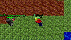 Pologi on screen