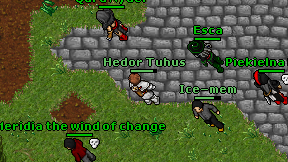 Hedor Tuhus on screen
