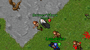 Driver'Stwa on screen