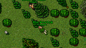Dir Vostok on screen