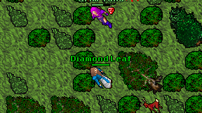 Diamond Leaf on screen