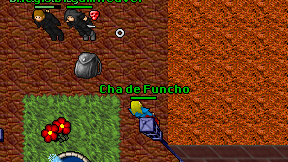 Cha de Funcho on screen
