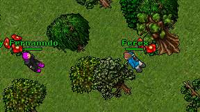 Ferex on screen