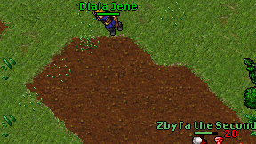 Diala Jene on screen