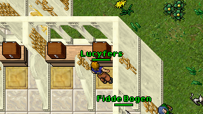 Lucyfers on screen