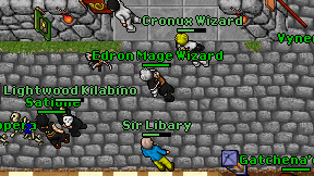 Edron Mage Wizard on screen