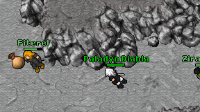 Paladyn Diabla on screen