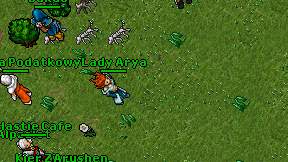 Lady Arya on screen