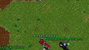 Pertubada on screen