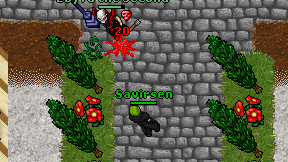 Savirsen on screen
