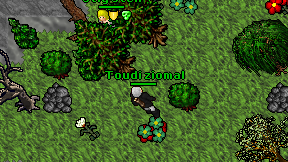 Toudi ziomal on screen