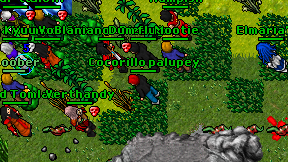 Cocorillo palupey on screen