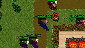 Luco Acas on screen