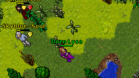 Dorn Lysa on screen