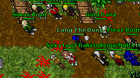Long The Dong on screen