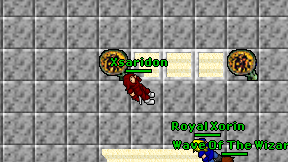 Xsaridon on screen