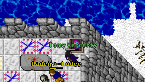 Tomy Vercerty on screen