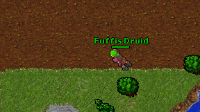 Fuffis Druid on screen